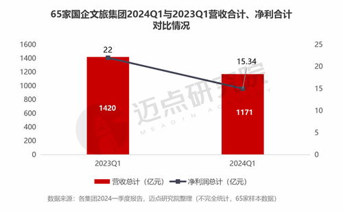 2024年文旅集团投资运营发展报告