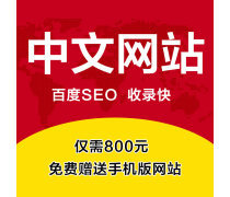 企业网站建设