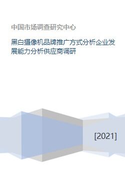 黑白摄像机品牌推广方式分析企业发展能力分析供应商调研
