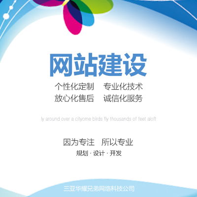 三亚网站建设技术最强是哪家,三亚网站建设概况介绍
