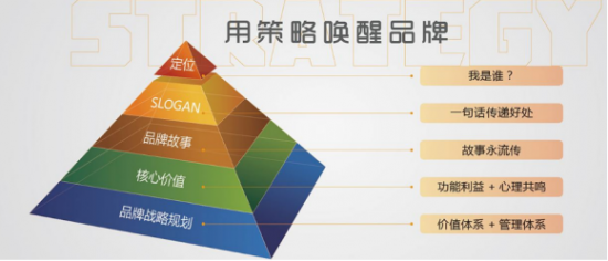支援家乡投身品牌建设事业 助力东北优秀企业
