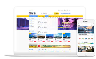 智游 大连龙采科技公司