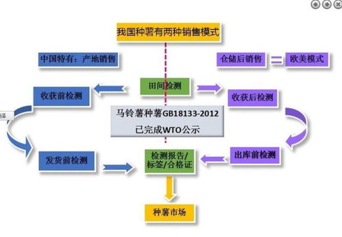 马铃薯种薯病害检测体系的建立与推广应用