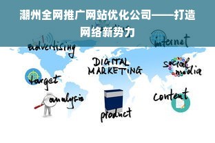 潮州全网推广网站优化公司--打造网络新势力