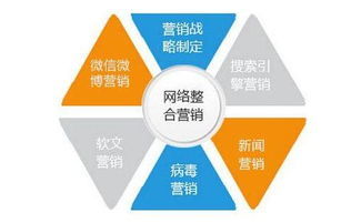 东城网站建设和推广策略