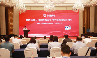 聊城市高唐县农产品区域公用品牌--“礼遇高唐”发布