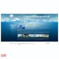 企业网站开发