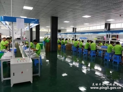 苦干实干精准干--平利扎实推进真脱贫