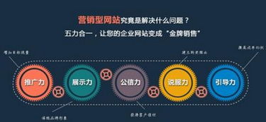 浙江网站建设与推广，为何选择微客巴巴？
