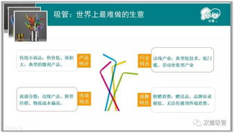 浙大博士团调研“双童”创新 低成本模式如何激活小商品产业